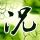 online judi togel Seni bela diri: Ilmu pedang Qingyun (Dacheng+) + Qingyunbu (Xiaocheng+)